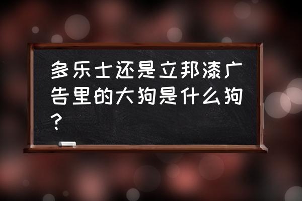 油漆代言的狗叫什么 多乐士还是立邦漆广告里的大狗是什么狗? 油漆代言的狗叫什么 多乐士还是立邦漆广告里的大狗是什么狗?