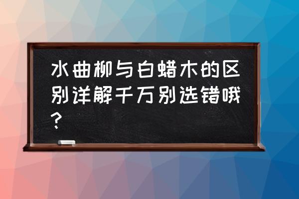 水曲柳和白蜡木是一种材质吗 水曲柳与白蜡木的区别详解千万别选错哦？