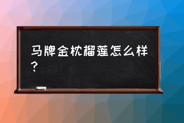 最好的金枕头是什么牌子 马牌金枕榴莲怎么样? 最好的金枕头是什么牌子 马牌金枕榴莲怎么样?