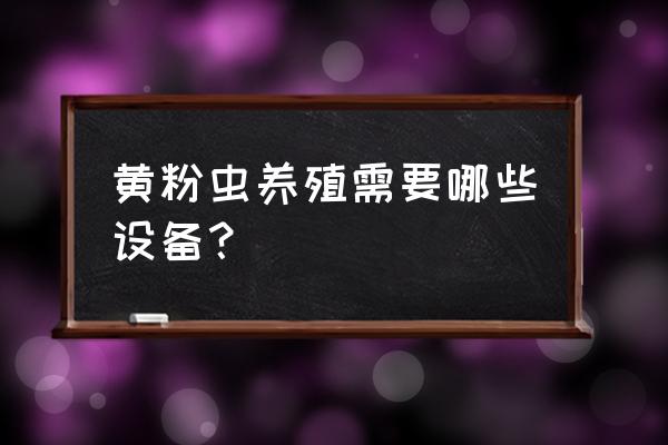 雅安哪里有黄粉虫养殖木箱买吗 黄粉虫养殖需要哪些设备? 雅安哪里有黄粉虫养殖木箱买吗 黄粉虫养殖需要哪些设备?