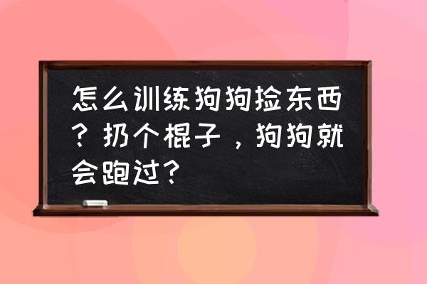 在家训练宠物狗 怎么训练狗狗捡东西?扔个棍子,狗狗就会跑过? 在家训练宠物狗 怎么训练狗狗捡东西?扔个棍子,狗狗就会跑过?