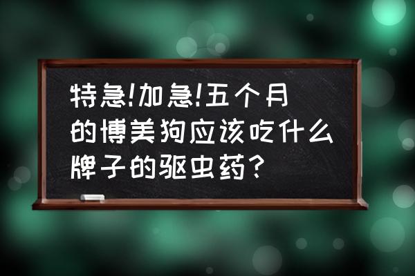 狗用驱虫药十大品牌 特急!加急!五个月的博美狗应该吃什么牌子的驱虫药? 狗用驱虫药十大品牌 特急!加急!五个月的博美狗应该吃什么牌子的驱虫药?