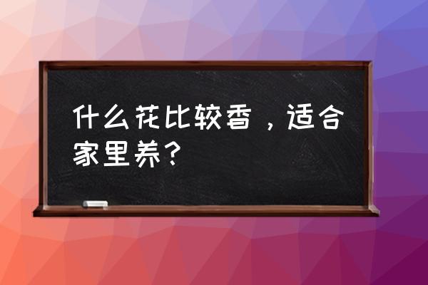 家庭不宜养的花草 什么花比较香，适合家里养？