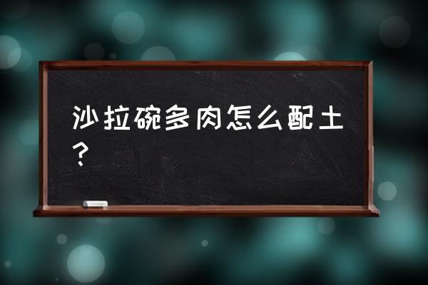 多肉花盆肥力太大盆土怎么处理好 沙拉碗多肉怎么配土? 多肉花盆肥力太大盆土怎么处理好 沙拉碗多肉怎么配土?