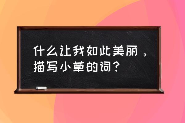 描写秋天的小草生长的新句子 什么让我如此美丽,描写小草的词? 描写秋天的小草生长的新句子 什么让我如此美丽,描写小草的词?