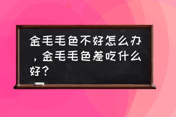 脱毛机能不能脱干净主要看什么 金毛毛色不好怎么办，金毛毛色差吃什么好？