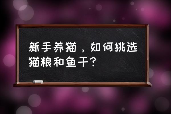 新手怎么挑选猫咪品种 新手养猫，如何挑选猫粮和鱼干？