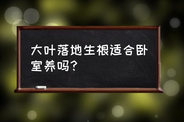 落地生根适合室内养还是室外养 大叶落地生根适合卧室养吗? 落地生根适合室内养还是室外养 大叶落地生根适合卧室养吗?