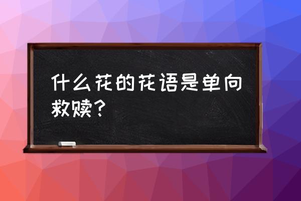 什么花的花语是神明与救赎 什么花的花语是单向救赎? 什么花的花语是神明与救赎 什么花的花语是单向救赎?