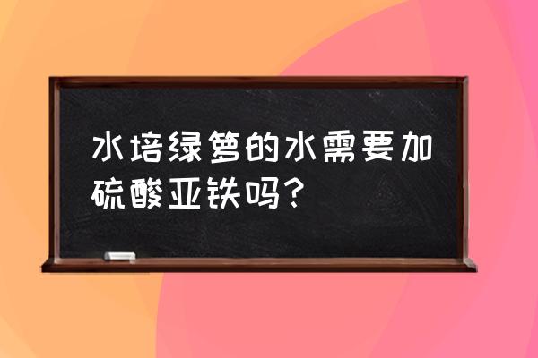 懒人盆养绿萝用营养液 水培绿箩的水需要加硫酸亚铁吗？