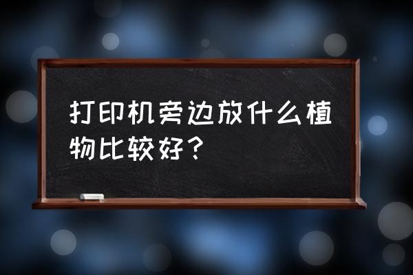 什么花适合放在电脑旁边吸辐射 打印机旁边放什么植物比较好？