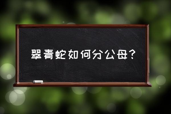 如何分辨蛇是公是母 翠青蛇如何分公母？