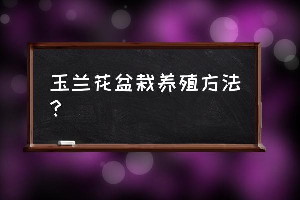 盆栽花卉最好的养殖方法 玉兰花盆栽养殖方法？