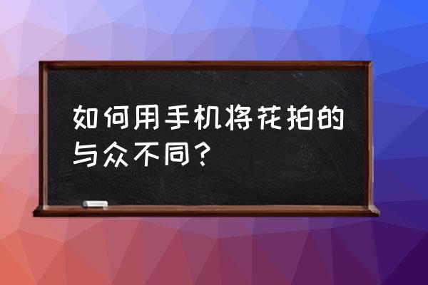 牵牛花拍照动作 如何用手机将花拍的与众不同? 牵牛花拍照动作 如何用手机将花拍的与众不同?