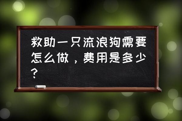 领养流浪狗需要做什么第一步 救助一只流浪狗需要怎么做,费用是多少? 领养流浪狗需要做什么第一步 救助一只流浪狗需要怎么做,费用是多少?