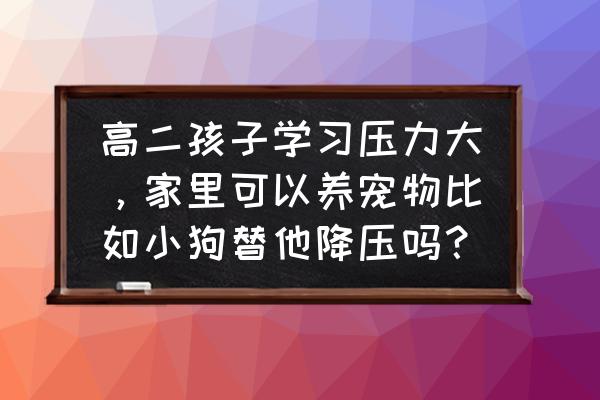 大一学生怎么养狗 高二孩子学习压力大，家里可以养宠物比如小狗替他降压吗？