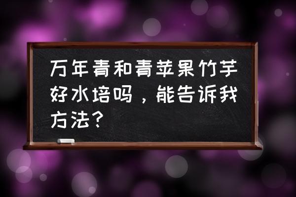 水培竹竽冬天怎么养 万年青和青苹果竹芋好水培吗，能告诉我方法？