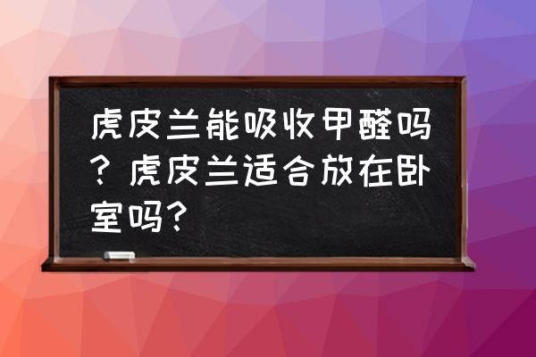 甲醛超标对绿植有什么影响 虎皮兰能吸收甲醛吗？虎皮兰适合放在卧室吗？