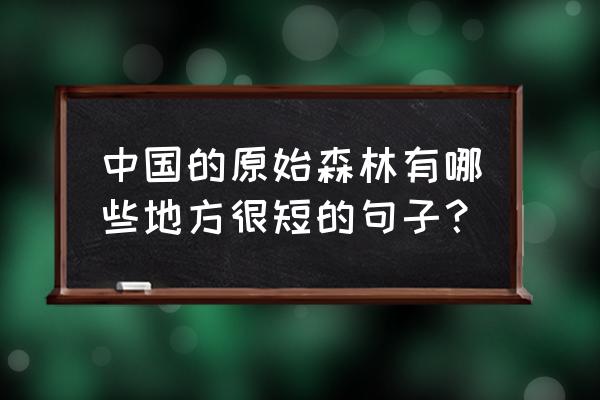 描写原始森林的句子对比手法 中国的原始森林有哪些地方很短的句子？