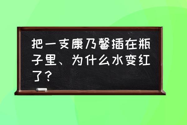 康乃馨的叶子为什么是弯曲的 把一支康乃馨插在瓶子里、为什么水变红了？