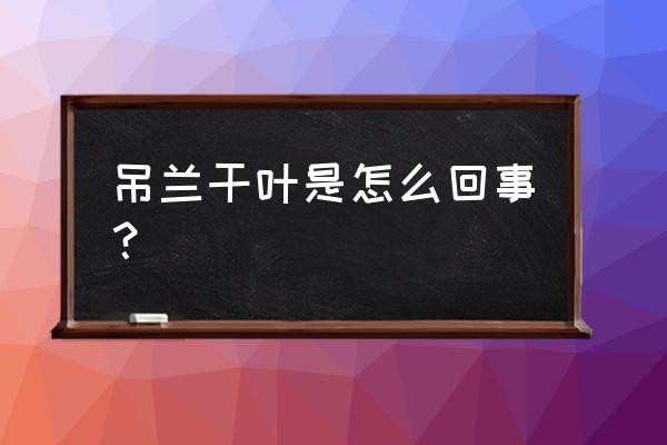 珍珠吊兰越养越干了怎么办 吊兰干叶是怎么回事？