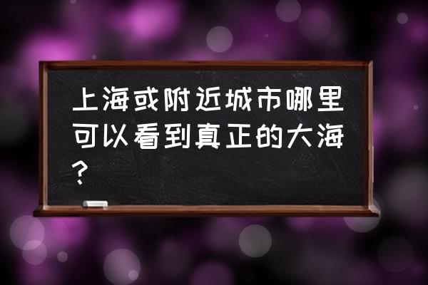 梦想城镇潜水基地建在哪个地方 上海或附近城市哪里可以看到真正的大海？