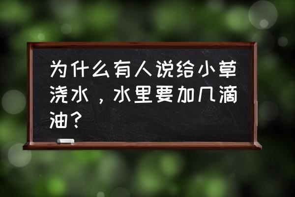 植物浇水有什么妙招 为什么有人说给小草浇水,水里要加几滴油? 植物浇水有什么妙招 为什么有人说给小草浇水,水里要加几滴油?