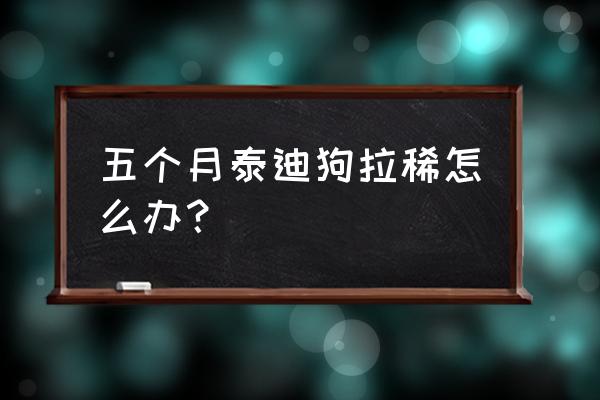 四个月宝宝腹泻怎么办最快的方法 五个月泰迪狗拉稀怎么办? 四个月宝宝腹泻怎么办最快的方法 五个月泰迪狗拉稀怎么办?