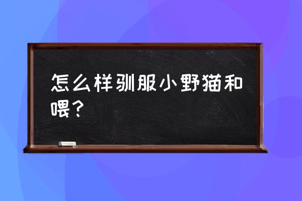 如何让野猫对你有好感 怎么样驯服小野猫和喂？