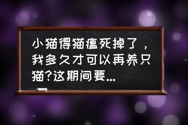 养猫如何给家里全面消毒 小猫得猫瘟死掉了，我多久才可以再养只猫?这期间要做些什么？