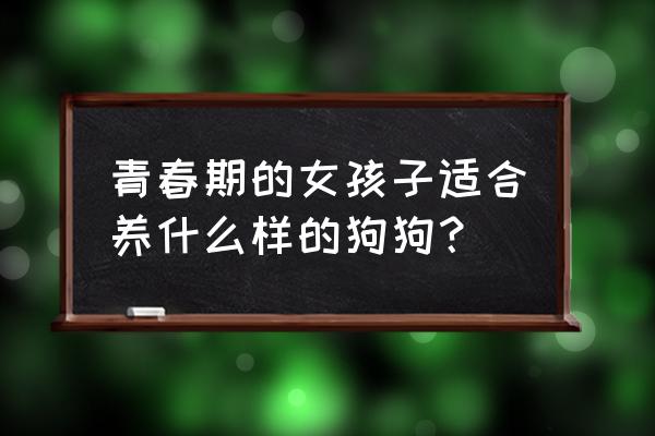 狗狗中什么适合新手养 青春期的女孩子适合养什么样的狗狗? 狗狗中什么适合新手养 青春期的女孩子适合养什么样的狗狗?