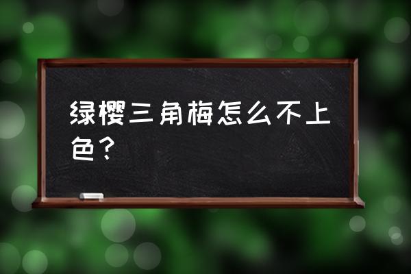 三角梅绿樱怎么掉叶子也不开花 绿樱三角梅怎么不上色？