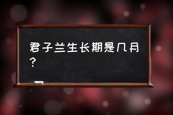 君子兰生长的最佳时间和方法 君子兰生长期是几月？