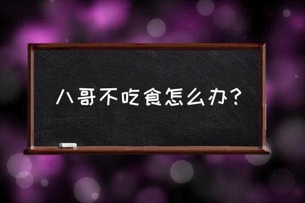 八哥突然变瘦什么原因 八哥不吃食怎么办？