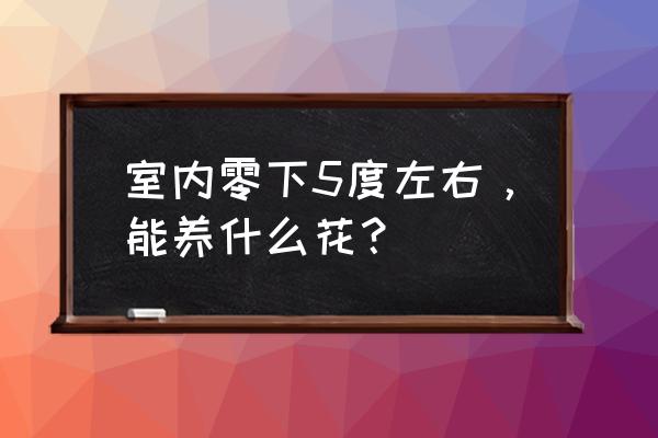 冬季适合种植什么花卉室内 室内零下5度左右，能养什么花？