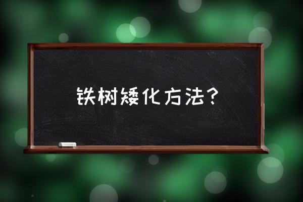 怎样把铁树的叶子养得短小粗壮 铁树矮化方法？