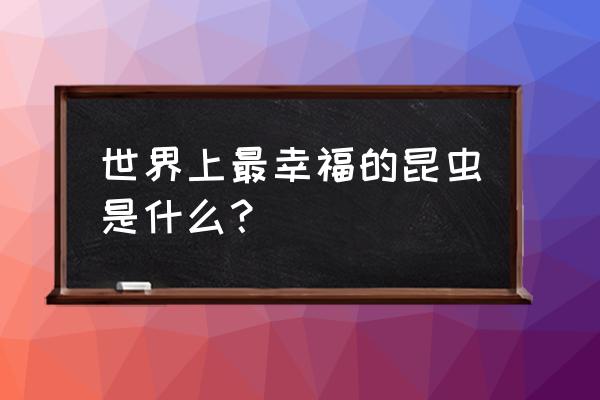 儿童七星瓢虫图画 世界上最幸福的昆虫是什么？