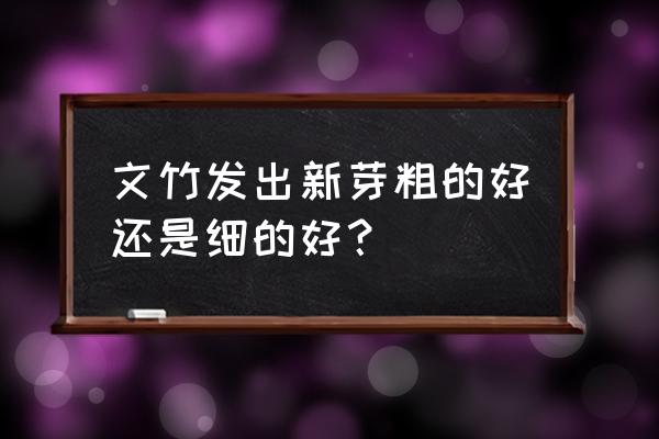 文竹长出来太细怎么办 文竹发出新芽粗的好还是细的好？